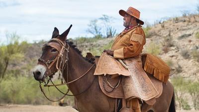 La Recua: The Mule Pack Train