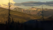 Preview of "In the Shadow of the Bitterroots"