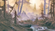 Deep Woods