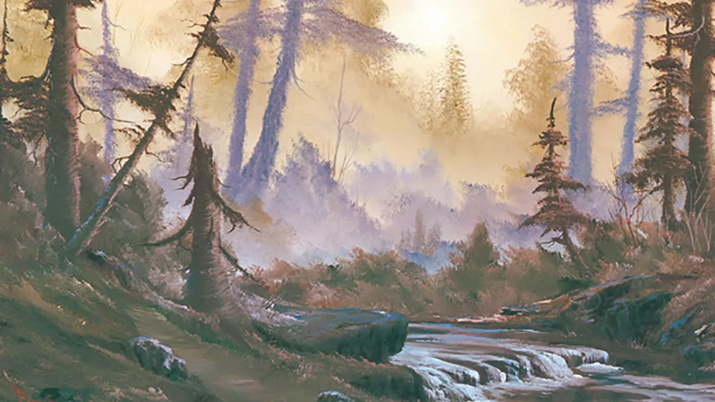 Deep Woods