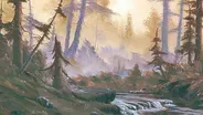 Deep Woods