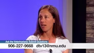 Veterinarians 2