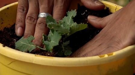 Video thumbnail: Virginia Home Grown Enjoy gardening while staying safe