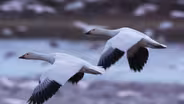 DeSoto Wildlife Refuge