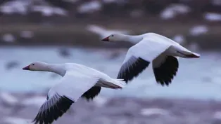 DeSoto Wildlife Refuge