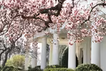 Washington Week Extra for March 13, 2020