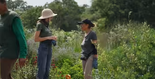 A Detroit public garden thrives with help from volunteers