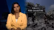 Human rights expert: Israel's abuses not new