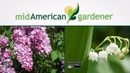 May 10, 2018: Mid-American Gardener w Jennifer Nelson