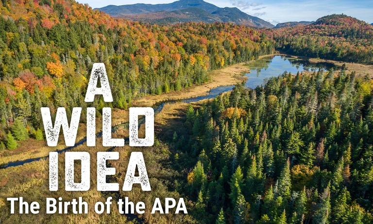 A Wild Idea: The Birth of the APA