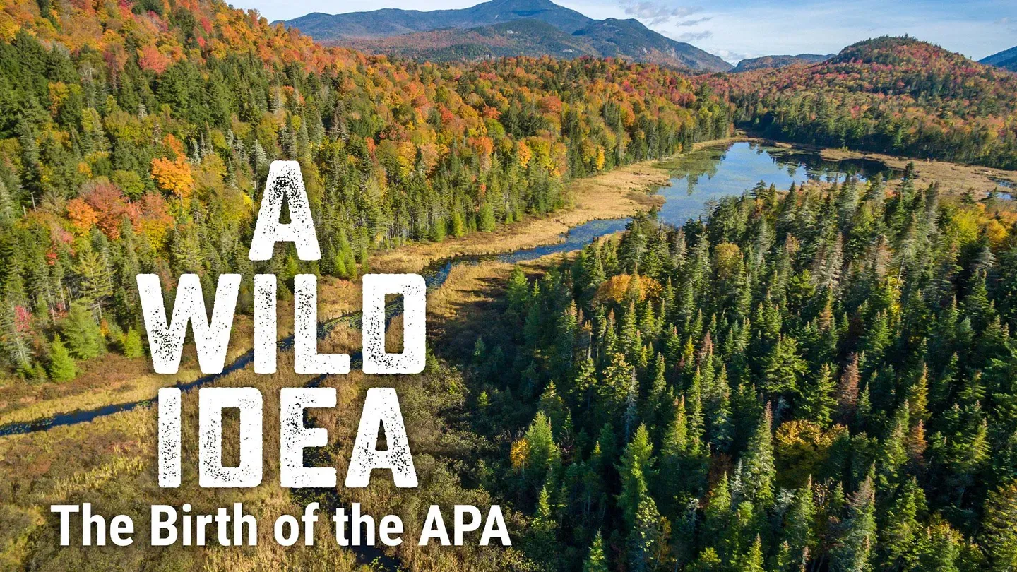 A Wild Idea: The Birth of the APA