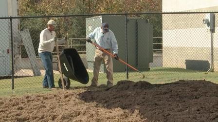 Video thumbnail: The Family Plot Preparing a New Garden Site and Q & A