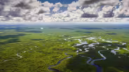 The Secret Islands of the Everglades