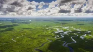 The Secret Islands of the Everglades