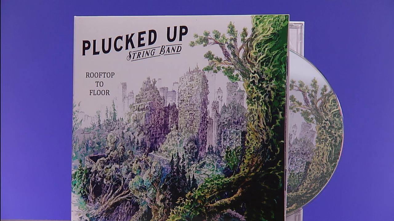 Plucked Up String Band Live in Studio