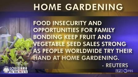 Video thumbnail: Louisiana: The State We're In Permit-Free Gun Carry, Housing, Hurricanes, Gardening