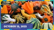 October 13, 2025