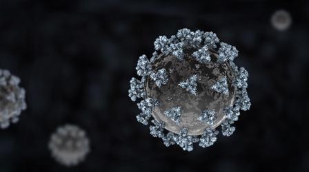 Video thumbnail: Deep Look How The Coronavirus Attacks Your Lungs