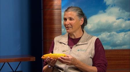 Video thumbnail: Eye on Education Maria Farris, IL Agriculture in the Classroom