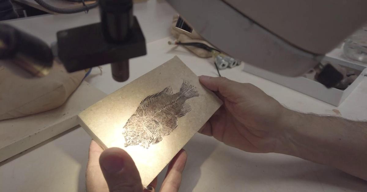 Fossil Country Fossil Country Teaser Pbs