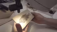 Fossil Country Teaser