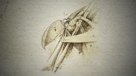 Video thumbnail: NOVA How Leonardo da Vinci Used Anatomy to Inform his Paintings