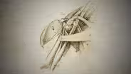 How Leonardo da Vinci Used Anatomy to Inform his Paintings