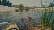 Transforming the Los Angeles River