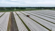 Georgia Diversified Farming