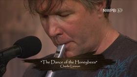 Video thumbnail: Jam with Dan Jam Set: The Dance of the Honeybees