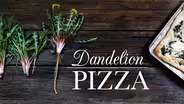 Dandelion Pizza