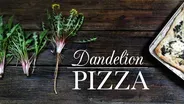 Dandelion Pizza