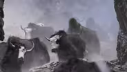 In Nepal Herders Bring Yaks Down a Steep Mountain Pass
