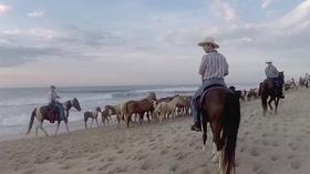 Video thumbnail: Virginia Currents Saltwater Cowboys; Attorney General Mark Herring (#2806)