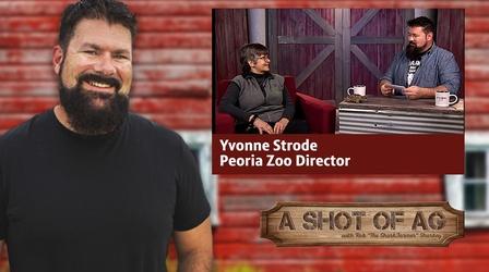 Video thumbnail: A Shot of AG S02 E30: Yvonne Strode | Peoria Zoo