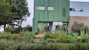 A Journey from Lawn to Lovely