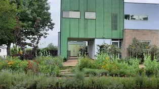 A Journey from Lawn to Lovely
