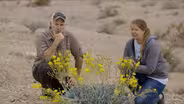 Only in Southern Nevada: Rare & Endangered Desert Plants
