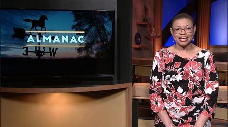 Video thumbnail: Almanac Does Binge-watching TV Constitute Work? | Weekly Essay
