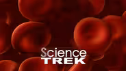 Blood: It's Blood