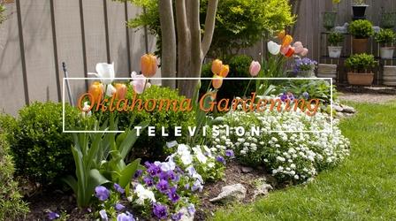 Video thumbnail: Oklahoma Gardening Oklahoma Gardening #4845 (05/07/22)