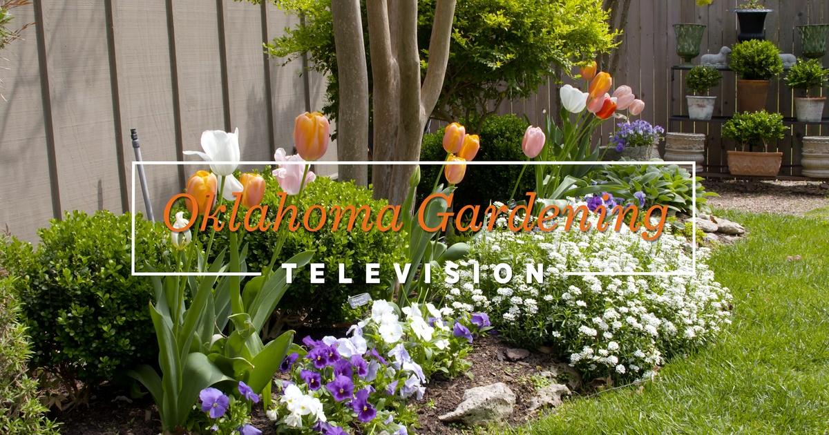 Oklahoma Gardening Oklahoma Gardening 4845 (05/07/22) Season 48