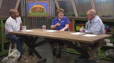 Video thumbnail: The Family Plot Lawn Alternatives & Pesticides