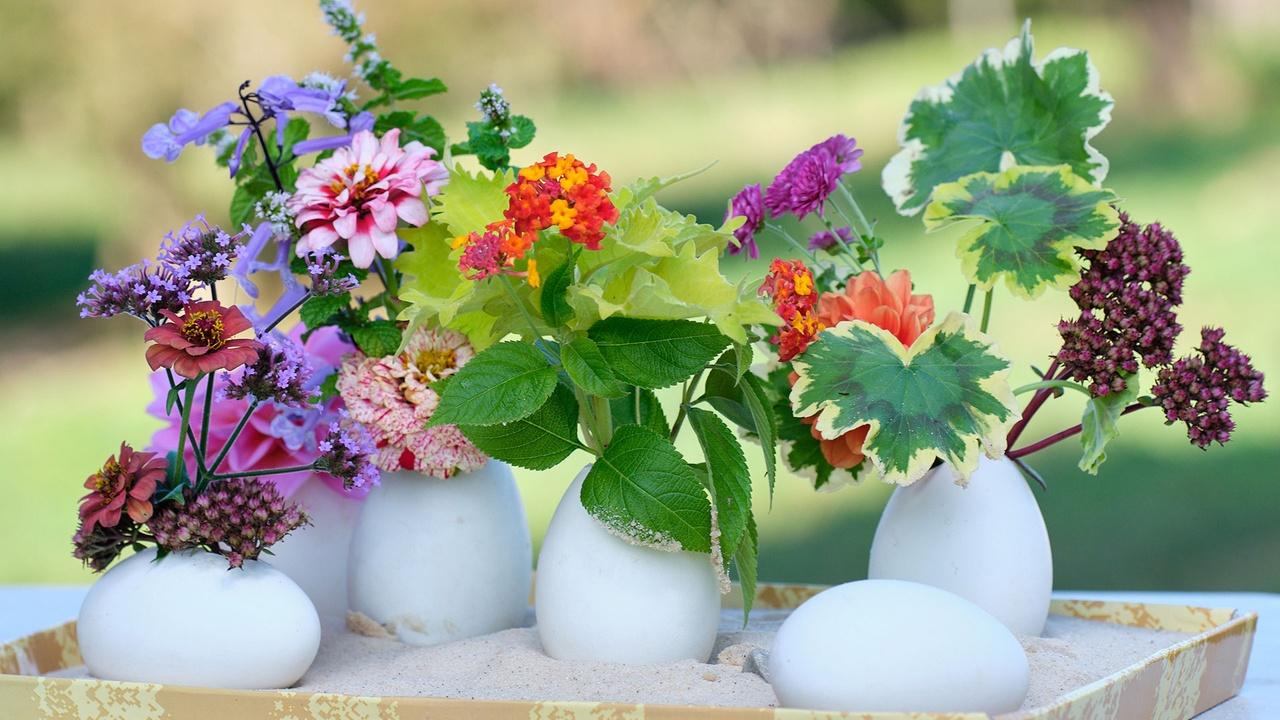 J Schwanke's Life In Bloom | From Farm to Plate & Vase