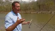 Helicopter Elk Capture, Salt River White Bass, and More