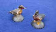 Appraisal: A. Elmer Crowell Miniature Decoys, ca. 1925