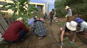 Video thumbnail: Inside California Education Urban Farming in San Diego