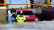 Taxidermy and Vehicle Recovery