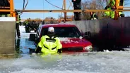 Taxidermy and Vehicle Recovery