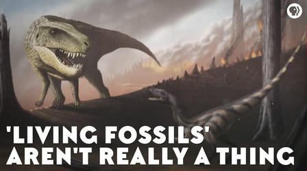 Video thumbnail: Eons Living Fossils' Aren't Really a Thing